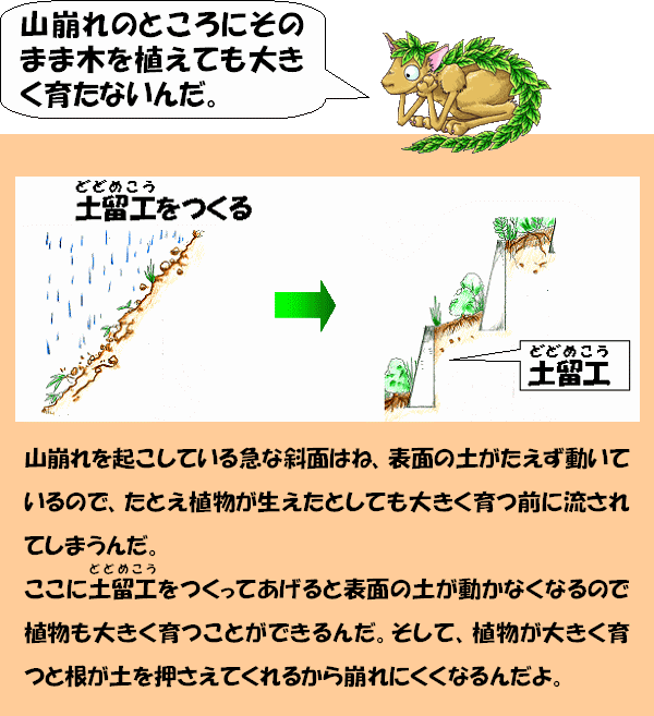植物を大きく育てる