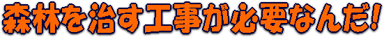 森林の恵みと治山サブタイトル06