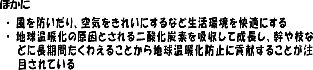 森林のいろいろな働き説明文