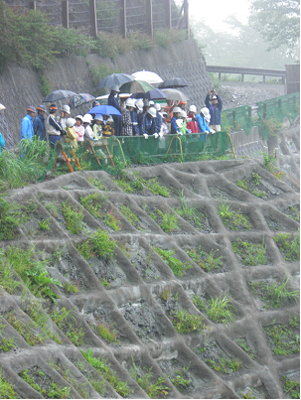 ゴボウ薙治山工事箇所を見学しているところ