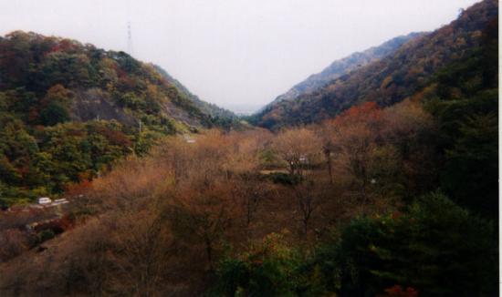 花貫ダムから下流の眺望写真