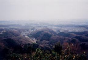 遊歩道からの眺望