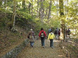 遊歩道（山頂付近）