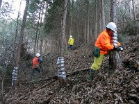 シカ・クマによる剥皮防止対策