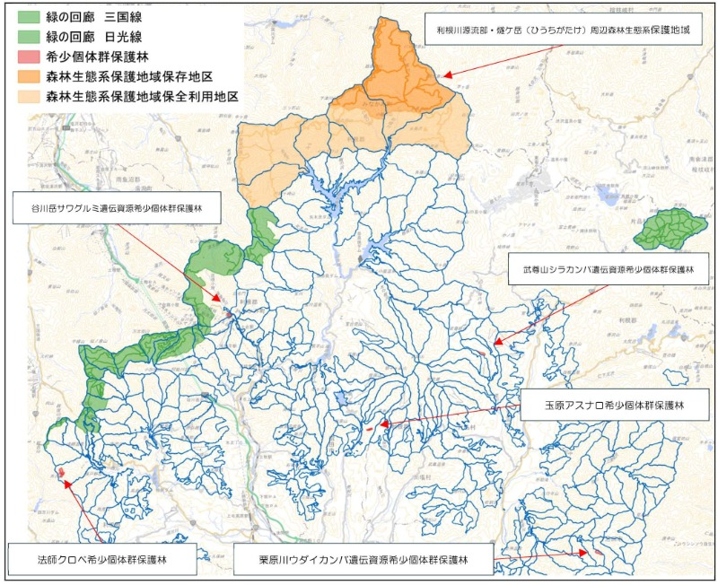 保護林・緑の回廊