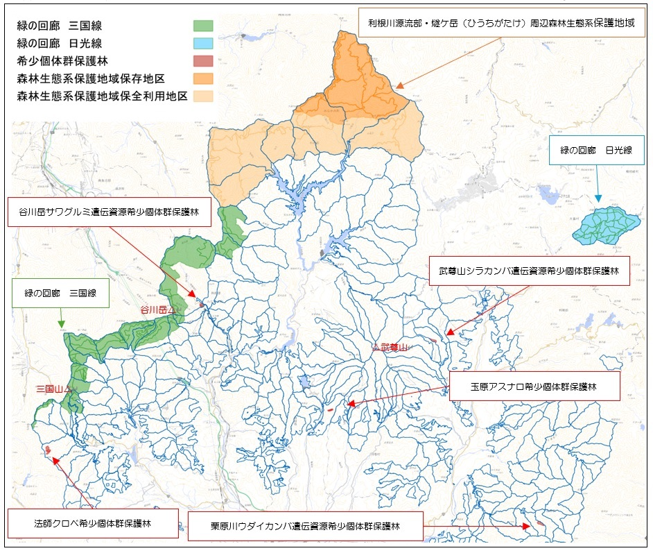保護林・緑の回廊