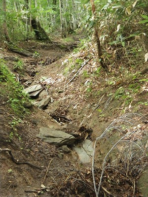 130803荒れた登山道