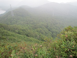 120916尼が禿山