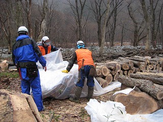 燻蒸04 シート巻き