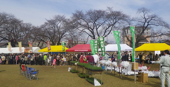 120414一年前の桜祭り
