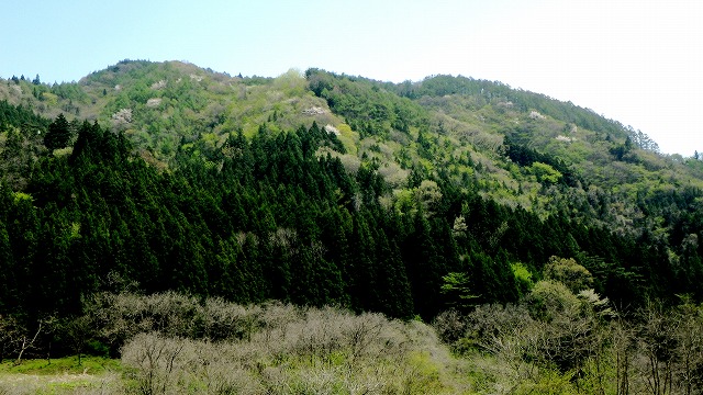 120513新緑の山