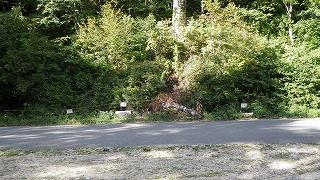 120911注意表示