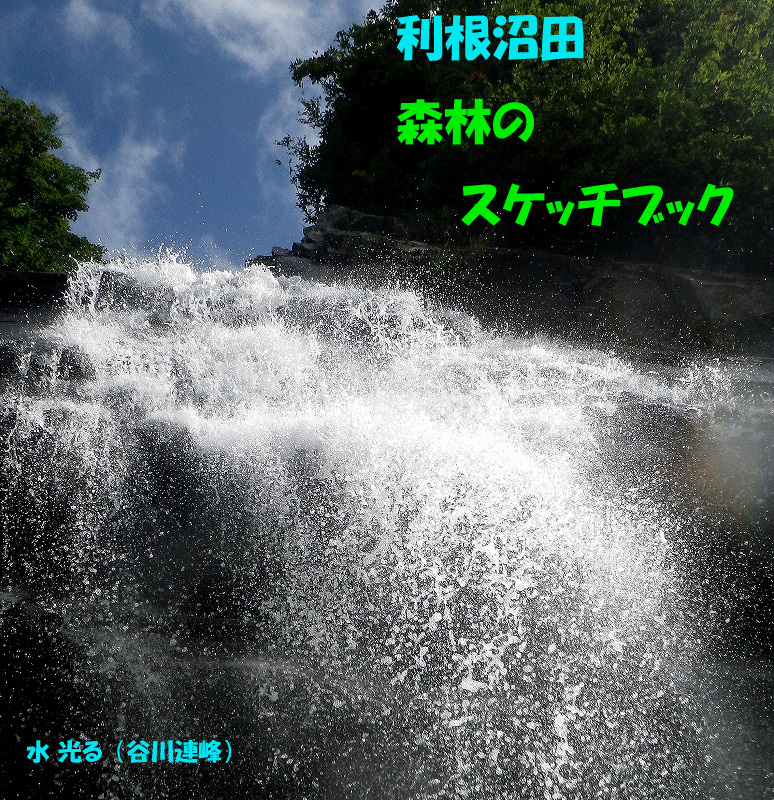 9月号表紙