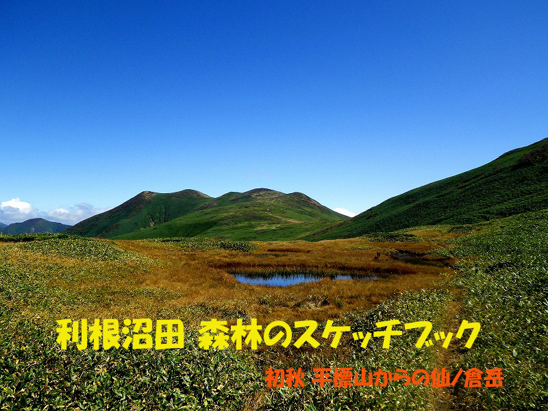 121010月号表紙