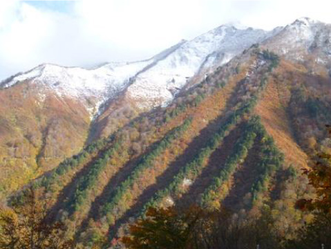 121104雪崩尾根