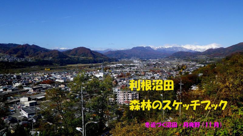 11月号表紙