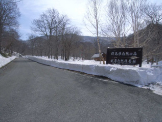 130417県道は開きましたけど