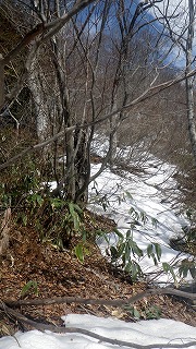 130413尾根上の雪もまだら模様