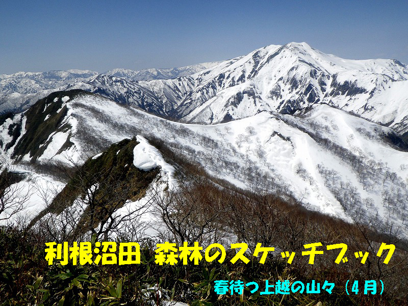 ４月号表紙　小出俣山から仙の倉岳