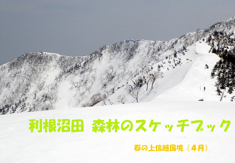 ２０１３．５月号表紙
