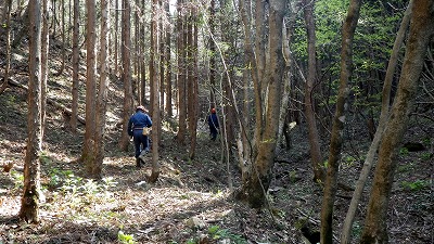 130508渓畔林調査