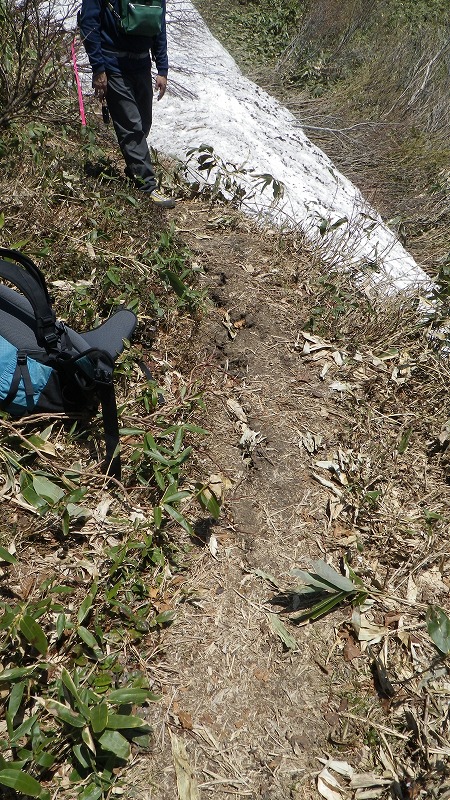 130517割れ目の入る登山道