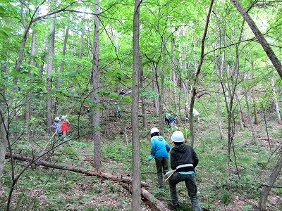 130605つるを探しに分散します