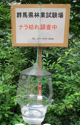 130701カシナガ捕獲器