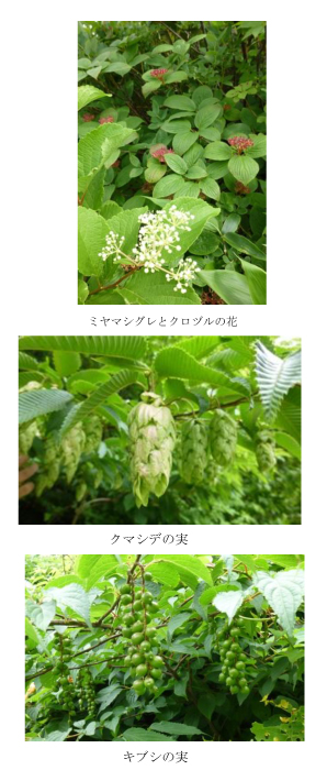 130713谷川GSS報告02