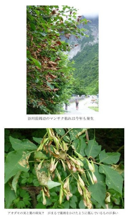 130713谷川GSS報告03