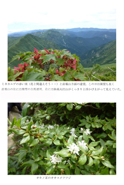 130720谷川報告03