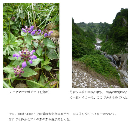 130720谷川報告05