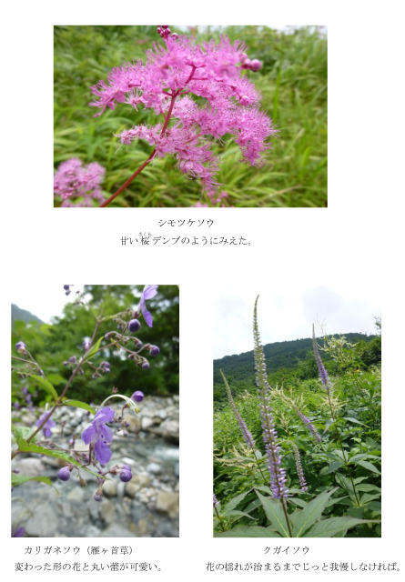130727谷川GSS03