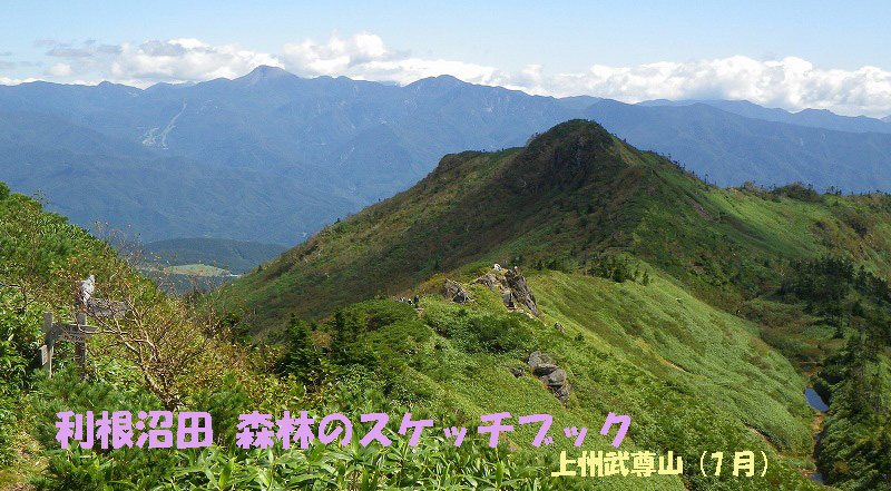 1307上州武尊山と皇海山