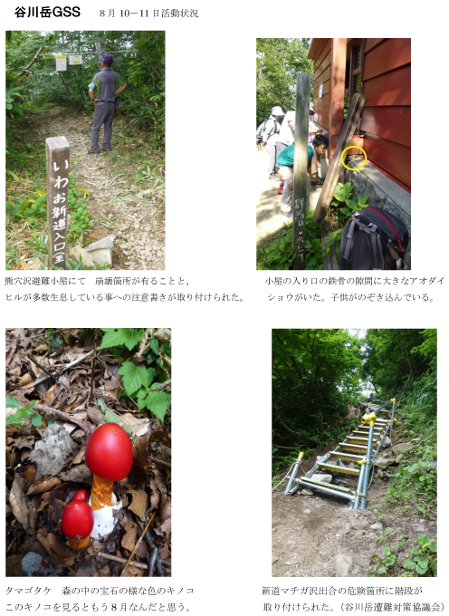 1308010谷川レポート01