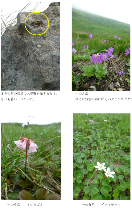 130810谷川レポート02