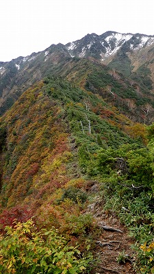 荒沢岳の紅葉