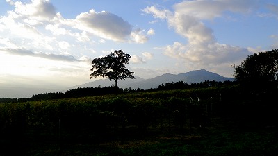 昭和村から子持山