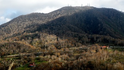 葉を落とすカンバ　赤城山