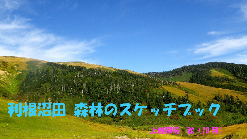 10月号表紙