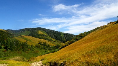 巻機山の草紅葉