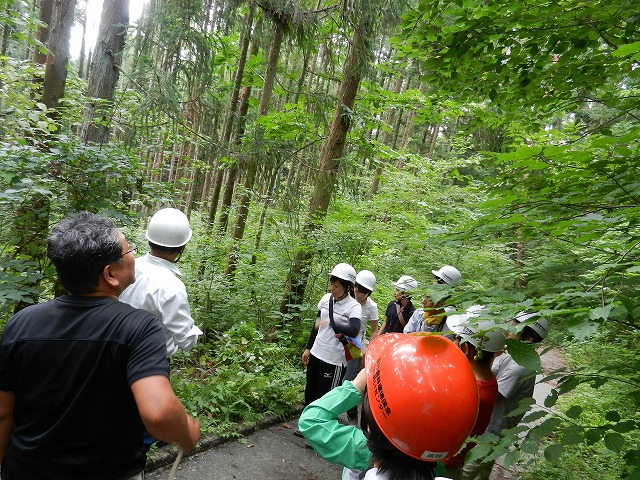 120901間伐実施後の森林