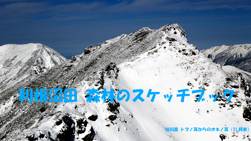 スケッチ　12月号表紙