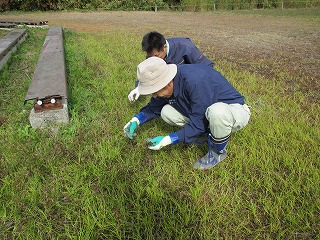 121010地道な作業です