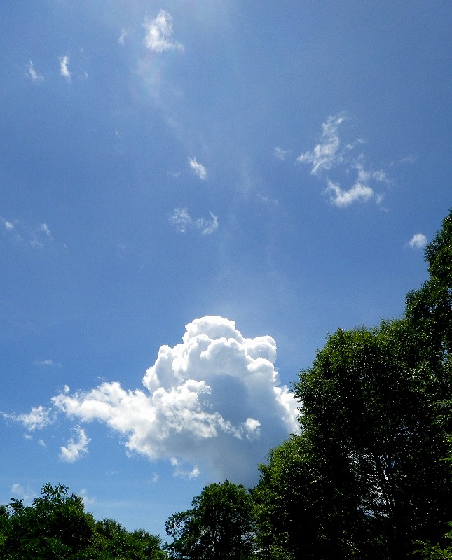 120816夏空01