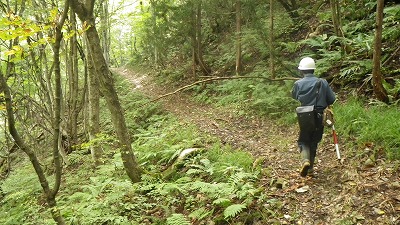 130704歩道はしっかりしています