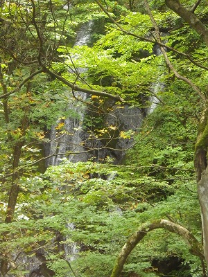 130704渓流に懸かる滝