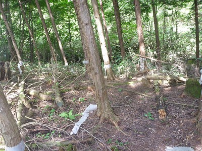 120821カメラ設置
