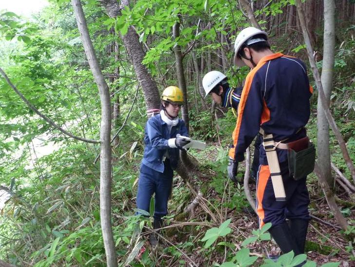 山の中で現在地の確認