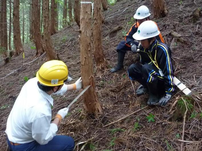 間伐方法を真剣に聞く生徒たち